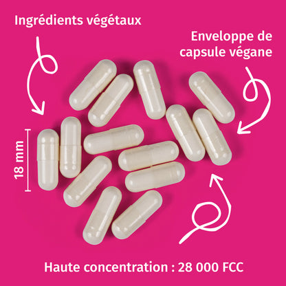 LactoJoy Forte - 28.000 FCC » 140 Gélules Végétales